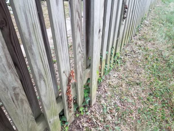 istock broken wood fence with a board popped out 1001887318