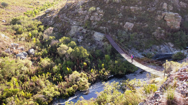 istock Female hiker on a wooden bridge 1001896974