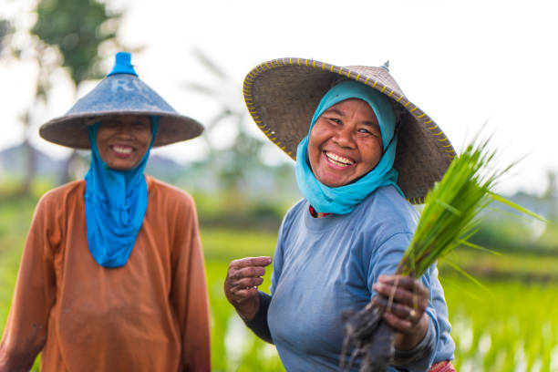 istock Cheerful Indonesian women on the rice field 1001919038