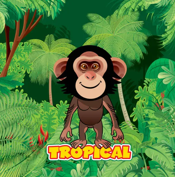 Vector illustration of Monkey and Tropical Forest