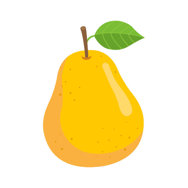 yellow pear, isoliert auf weißem hintergrund - birne stock-grafiken, -clipart, -cartoons und -symbole