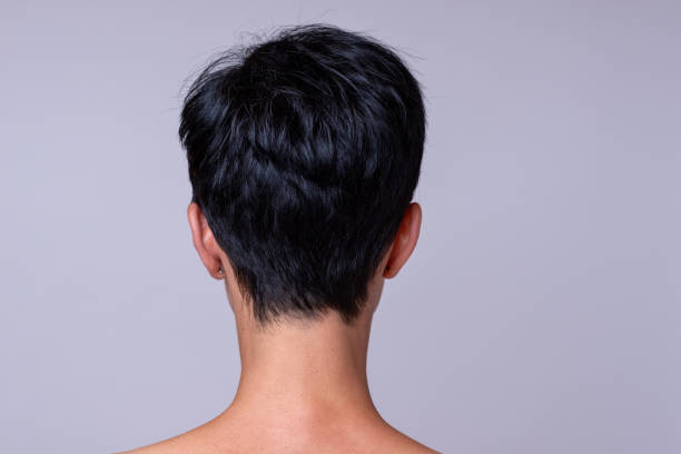 Portrait of a woman over neutral background Back view of a womans head in short darker hair over neutral background back of head photos stock pictures, royalty-free photos & images