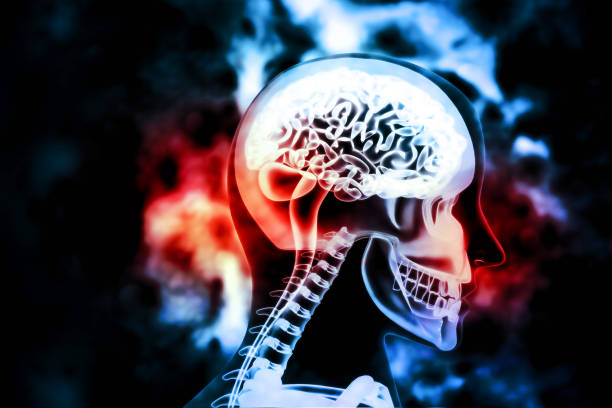 istock Human brain x-ray view on scientific background 1001980544