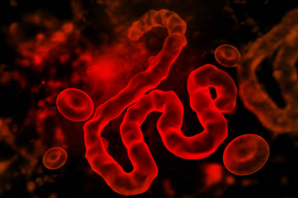virus d’ebola sur fond scientifique - cell cancer cell bacterium human cell photos et images de collection