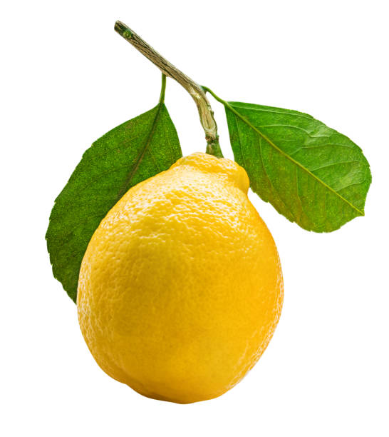 istock Lemon with green leaf isolated on white background. Clipping path 1001997042