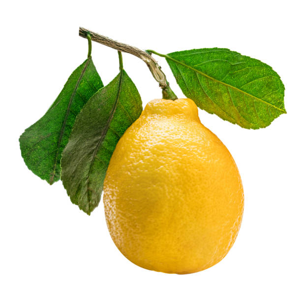 istock Lemon with green leaf isolated on white background. Clipping path 1001997060