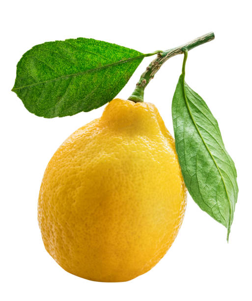 istock Lemon with green leaf isolated on white background. Clipping path 1001997070