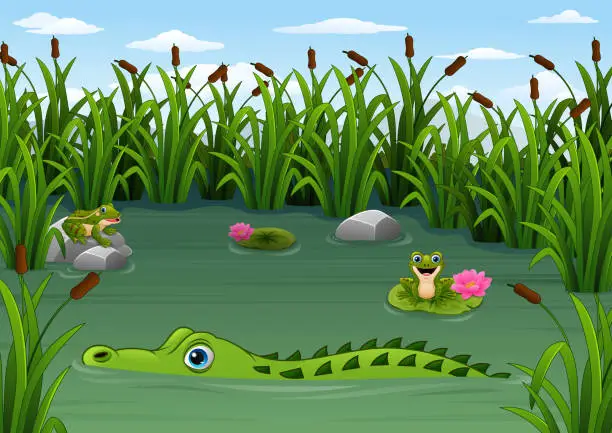 Vector illustration of Cartoon alligator and Frogs in the pond