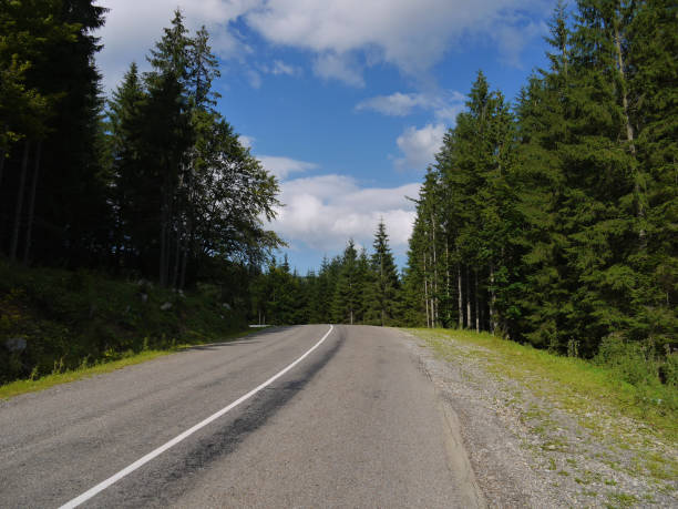 istock black highway with markings in a spruce forest that climbs high up 1002000484