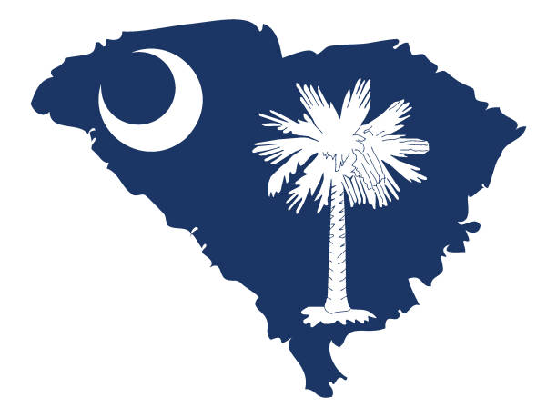 지도 및 사우스 캐롤라이나의 국기 - south carolina stock illustrations