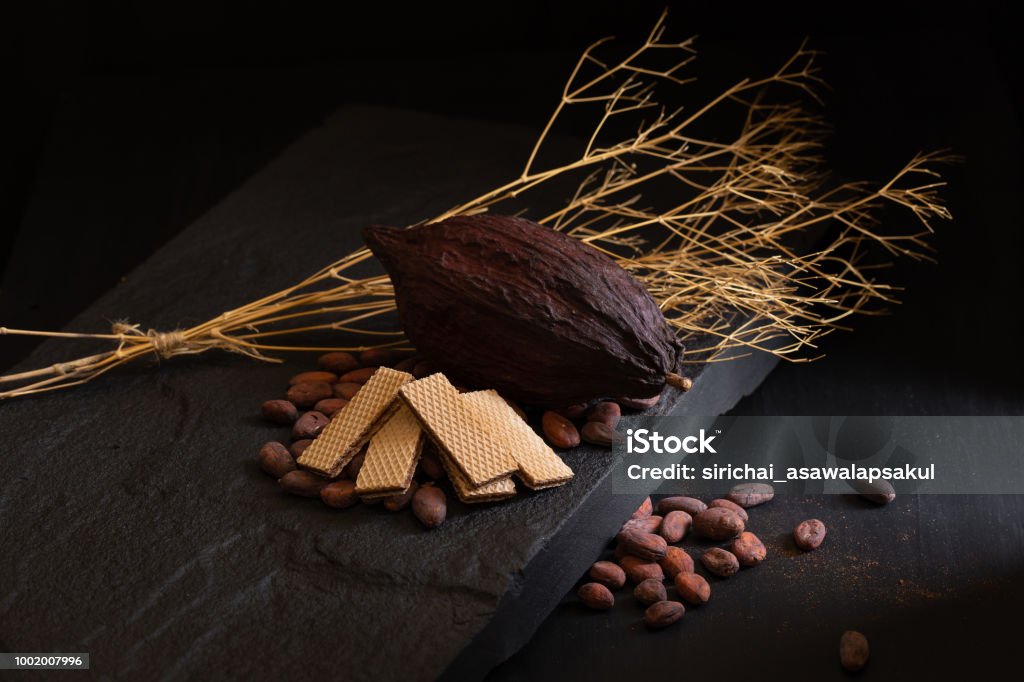 Chocolate wafer and Cocoa beans on a dark background Chocolate wafer and Cocoa beans on a dark background. Backgrounds Stock Photo