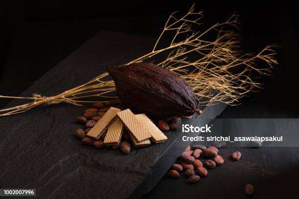 Chocolate Wafer And Cocoa Beans On A Dark Background Stock Photo - Download Image Now