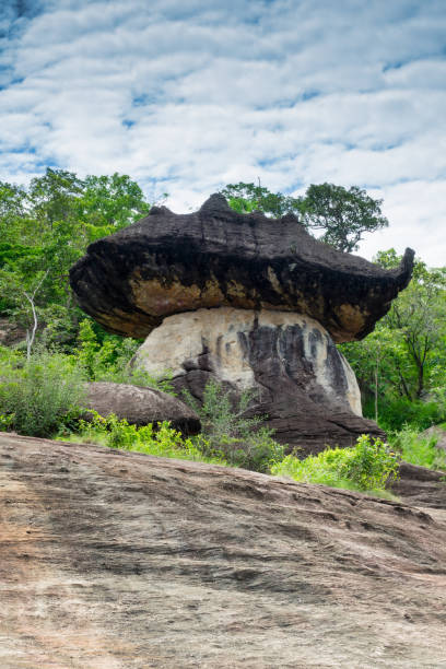 istock Phu Pha Thoep National Park in Thailand 1002011256