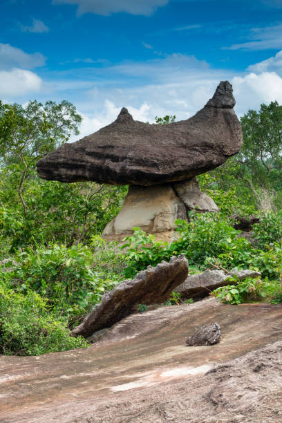istock Phu Pha Thoep National Park in Thailand 1002013756