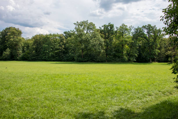 Beautiful green city park