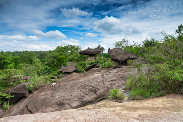 istock Phu Pha Thoep National Park in Thailand 1002014026