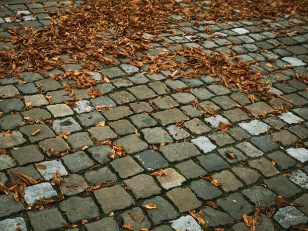 istock Autumn dry leavess on a pavement, textured background with copy space for add text. The timekeeping concept 1002018034