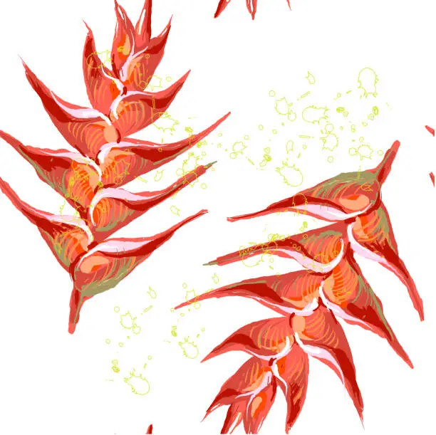 Vector illustration of Seamless pattern of Heliconia flowers wild plantain, lobster claw, false bird-of-paradise flower, Heliconia rostrata . Hand drawn vector illustration on white background with splash