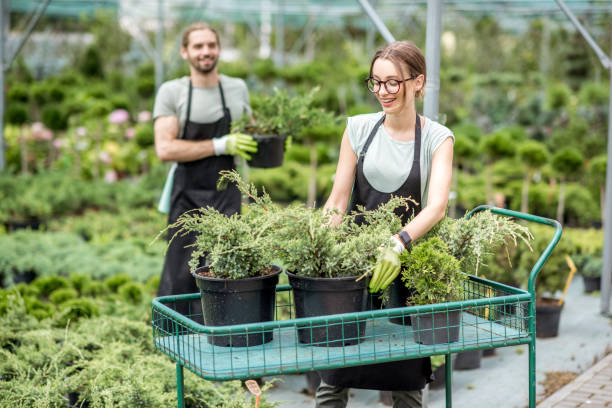 istock Workers putting plants on the cart 1002028170
