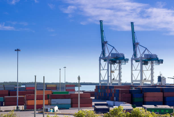 istock Industrial port in Miami, shipyard, cargo cranes  and containers 1002031118