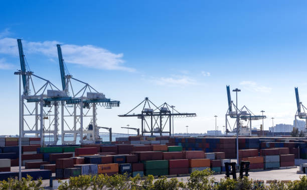 istock Industrial port in Miami, shipyard, cargo cranes  and containers 1002031264