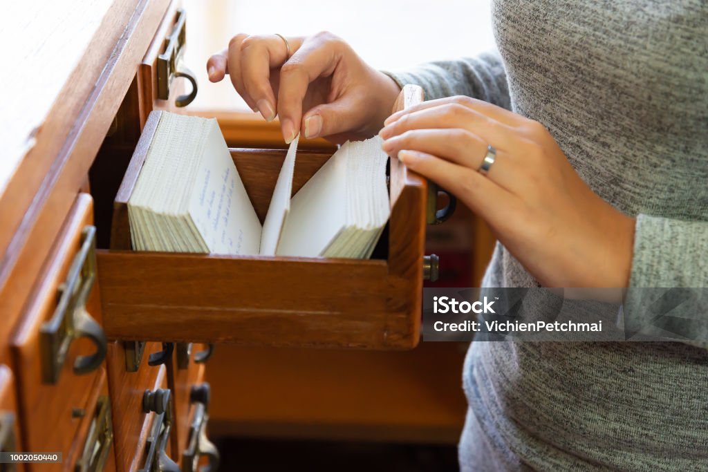 Librarian Opens The Library Card Index Young Woman Open Catalog File