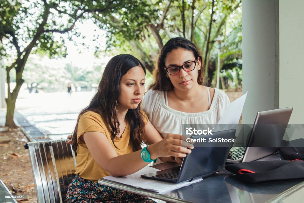 Two Female Students Helping Each Other With Their Work Two female students, at campus, helping each other with their work. Summer Stock Photo