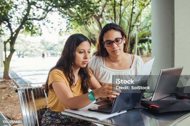 Two Female Students Helping Each Other With Their Work Stock Photo - Download Image Now