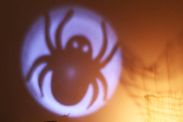 istock Art Halloween spider wallpaper 1002058170