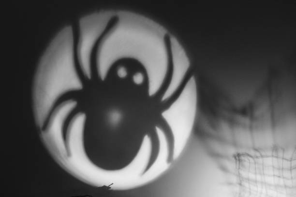 istock Art Halloween spider wallpaper 1002058178