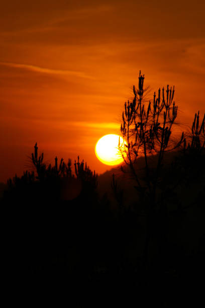 istock Sunset with orange sky portrait 1002058804