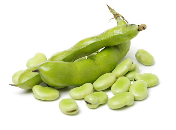 Broad beans on white background Broad beans on white background broad bean plant stock pictures, royalty-free photos & images