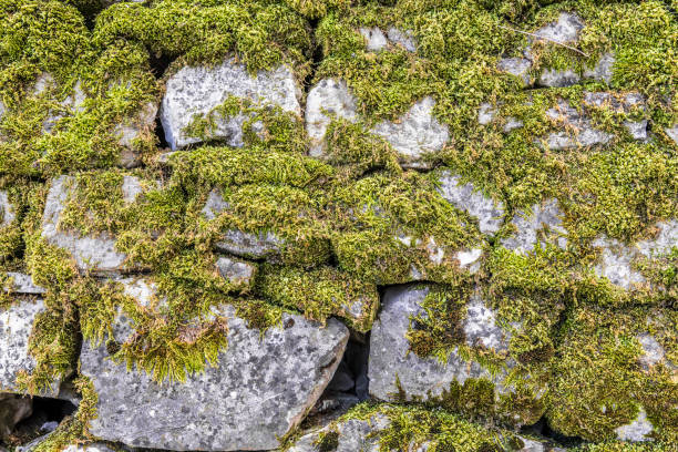 istock Stone wall in a mountain village 1002065016