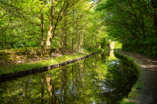 Walking the towpath along a canal in Huddersfield reveals beautiful reflections in the water.