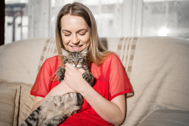 istock Playful woman enjoying spending time with her cats at home 1002083714