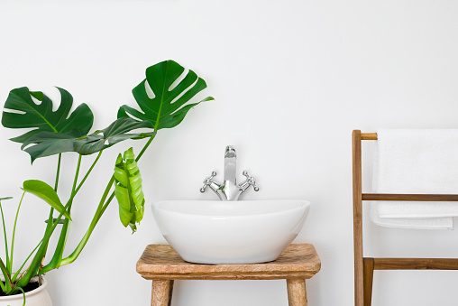 Bathroom interior with white sink, towel hanger and green plant