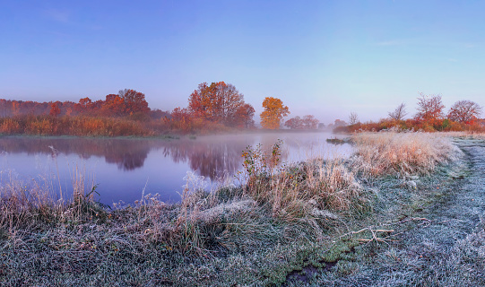Autumn nature landscape of frosty november morning on river shore with hoarfrost on grass and trees. Calm scenery autumn with red and yellow leaves on branches of tree on river bank.
