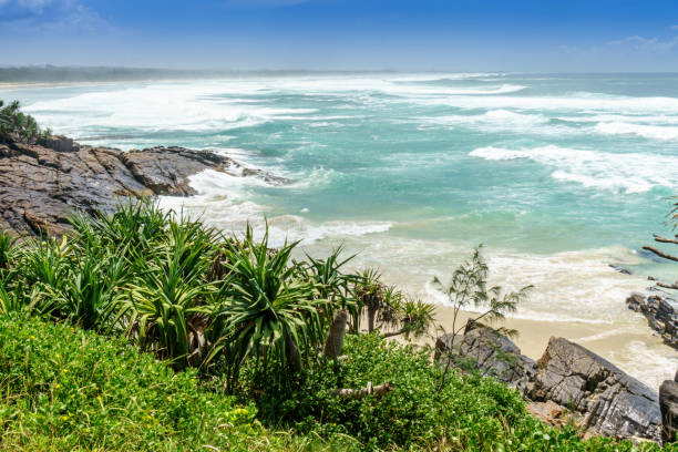 istock Sunshine Coast in Queensland 1002111768