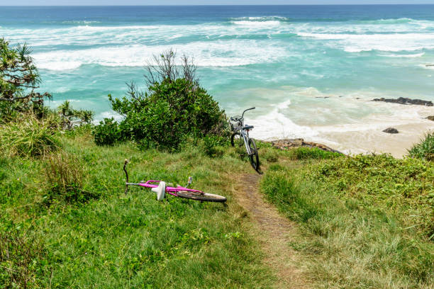 istock Sunshine Coast in Queensland 1002112126