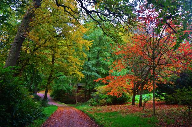 istock Nature in it's Autumn Colors 1002113266