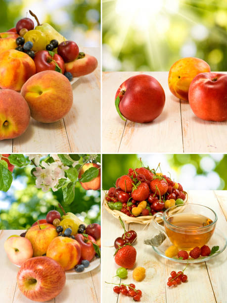 istock many fruits and cup with tea close up 1002122808