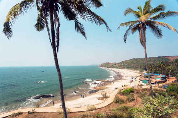 istock Landscape of sunny beach under the palm trees. 1002131942