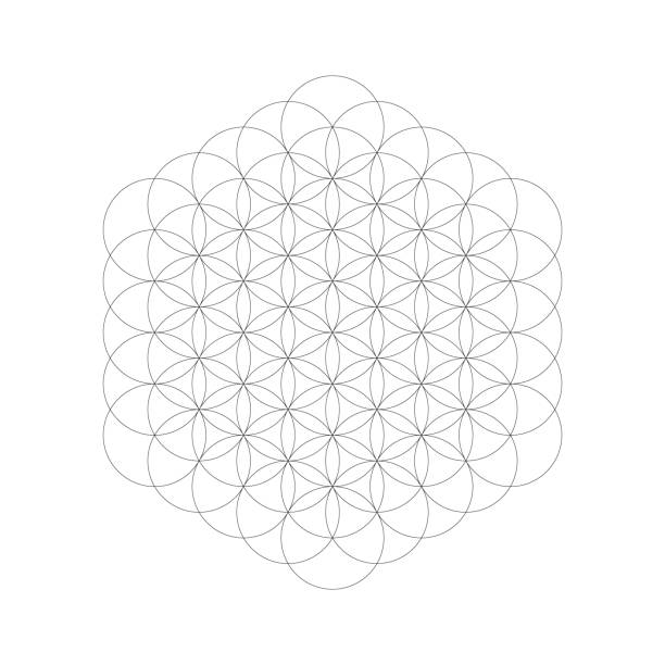 istock Geometrical figure. Sacred Geometry Flower of Life element. Vector illustration 1002140804