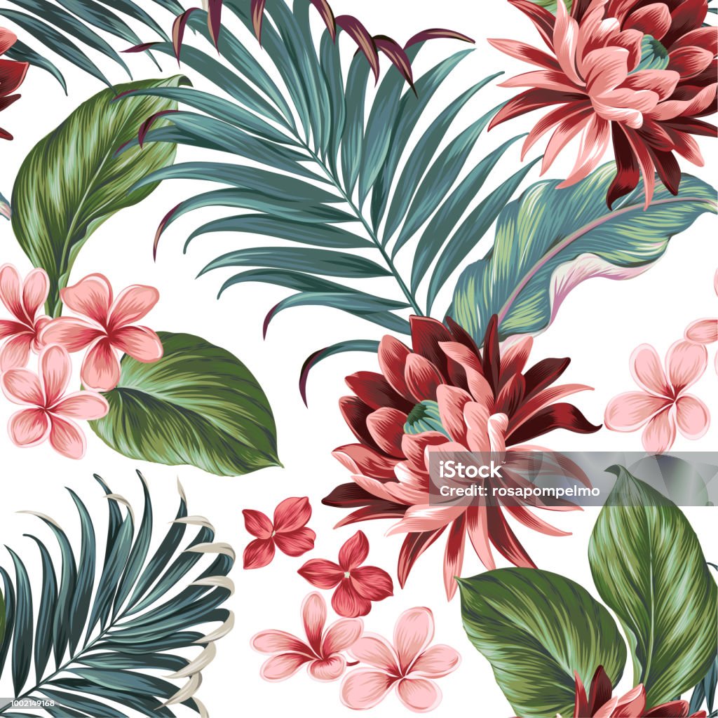 Vector botânico exótico o projeto com grande lótus, palmas das mãos, frangipani, elephat ouvidos. - Vetor de Flor royalty-free