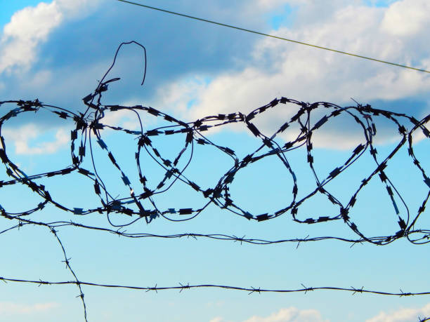 istock look at the sky through a barbed wire 1002149896