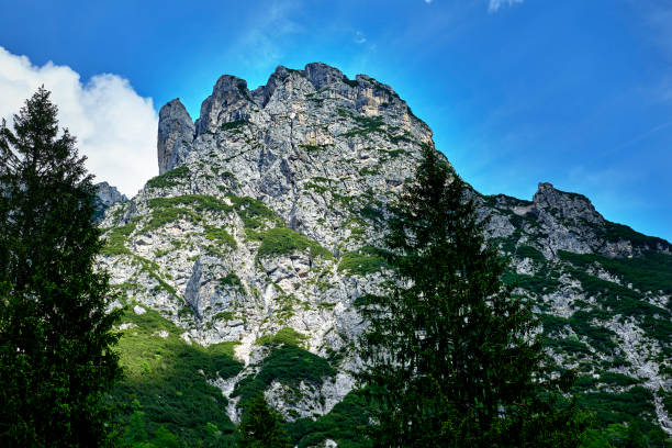 Trentino Italy high up in the Dolomites. Tirol area with high mountains. Tall pine trees