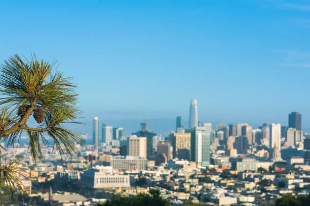 istock Aerial view on San Francisco skyscrapers and downtown. 1002154516