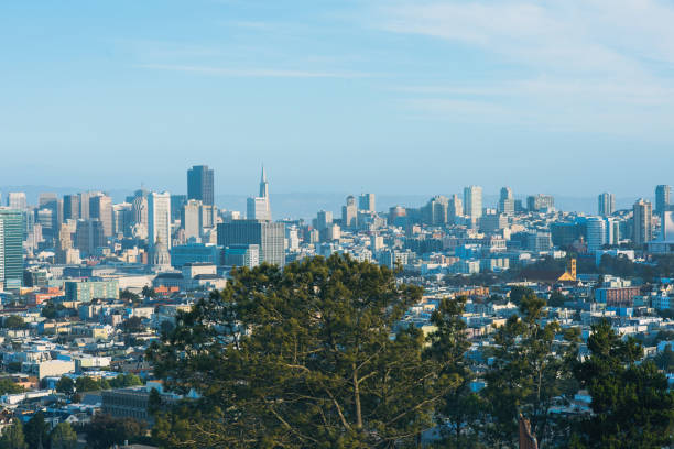istock Aerial view on San Francisco skyscrapers and downtown. 1002154660