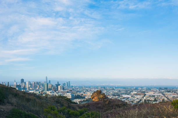 istock Aerial view on San Francisco skyscrapers and downtown. 1002154910
