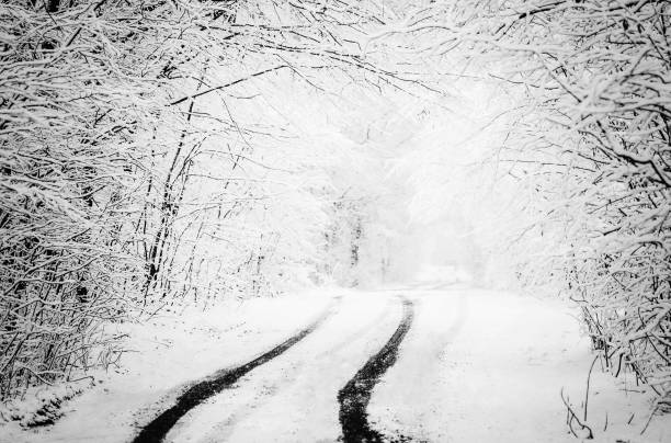 istock Snow covered winter trees and road. Black and white winter. 1002159210